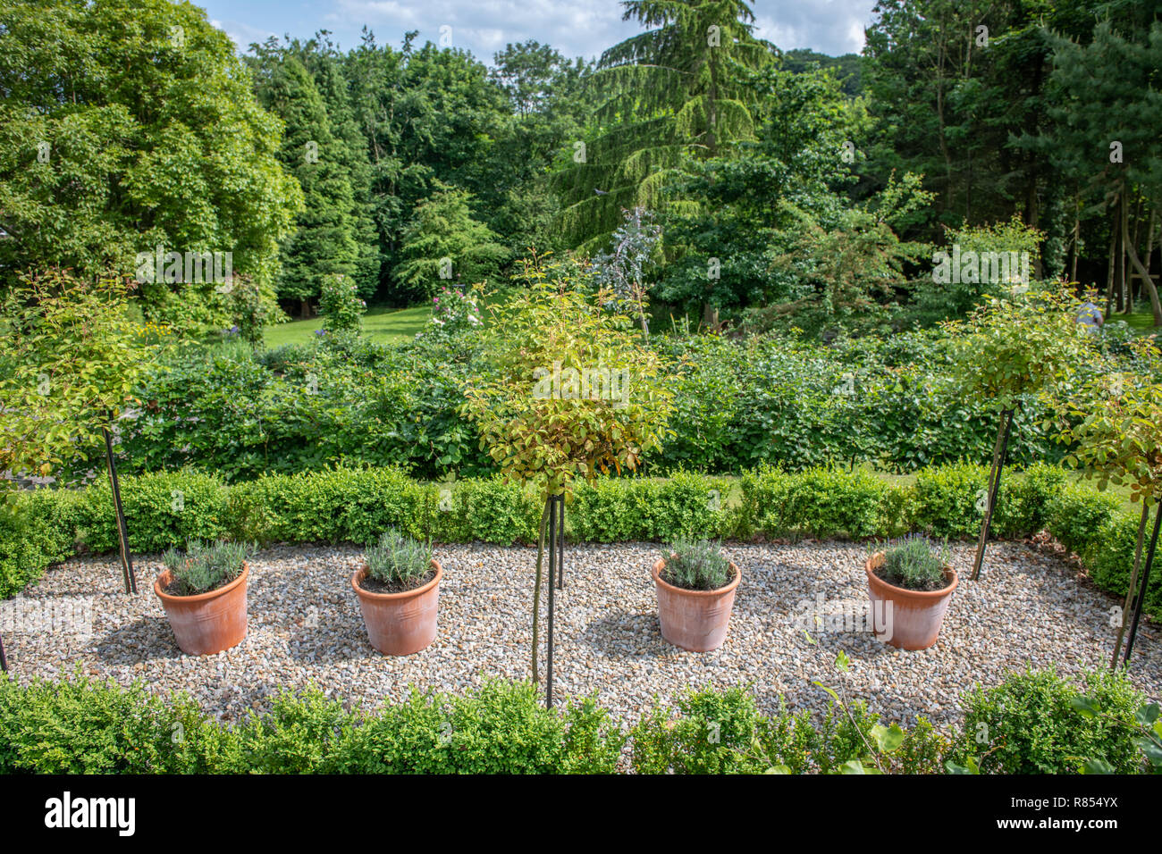 The trees and shrubbery grow throughout the well maintained grounds of Kiplin Hall  Richmond, Yorkshire , UK Stock Photo