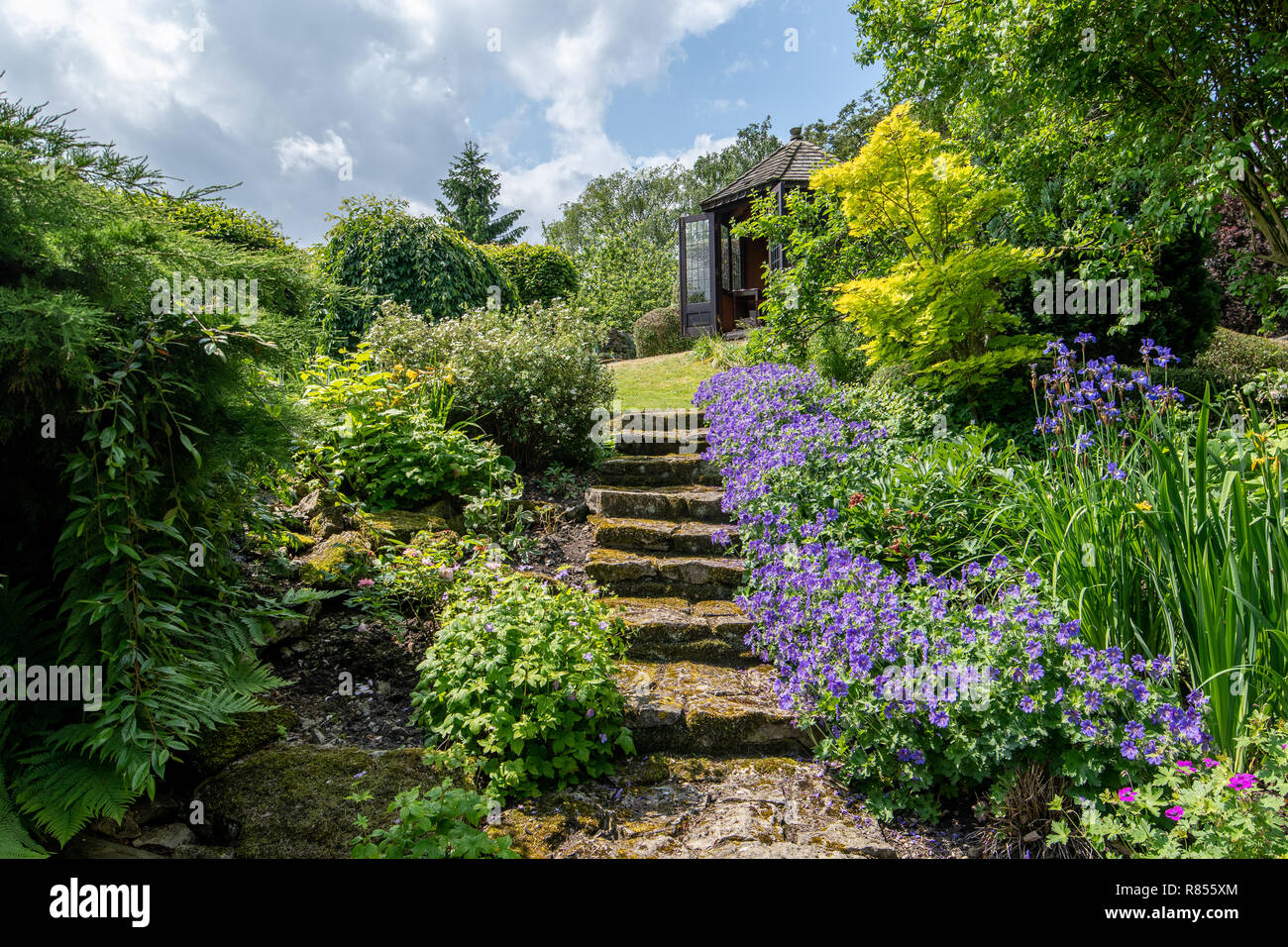 Pathway through lush garden hi-res stock photography and images - Alamy
