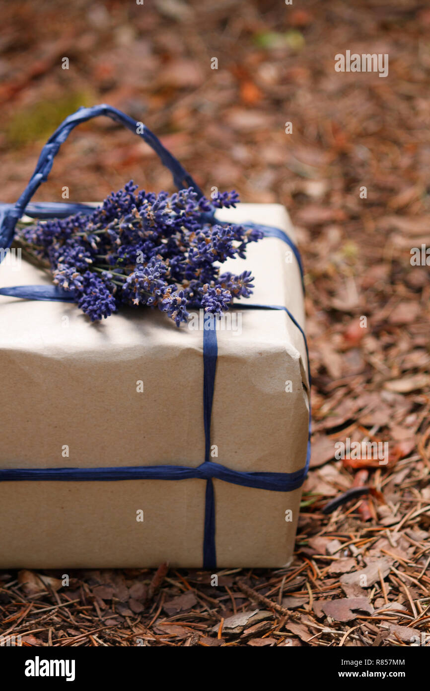 Craft paper present box tied from blue rope Stock Photo - Alamy