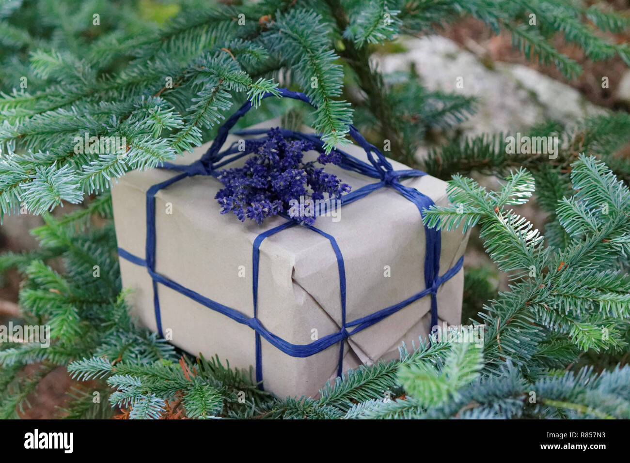 Craft paper present box tied from blue rope Stock Photo - Alamy