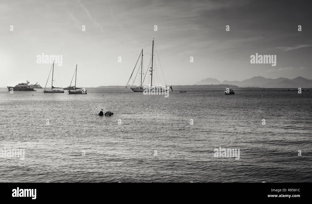 Black and white picture of the yachts and sailboats at anchor in Golfe Juan at the beach resort of Juan-les-Pins with the island Ile Sainte-Marguerite Stock Photo