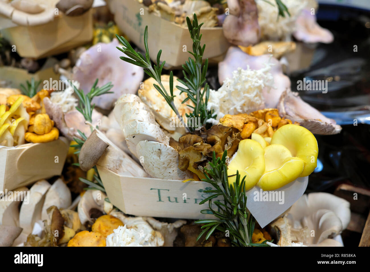 A cardboard container with a variety of mushrooms on display for sale at Turnip stall Borough Market Christmas food in London England UK  KATHY DEWITT Stock Photo
