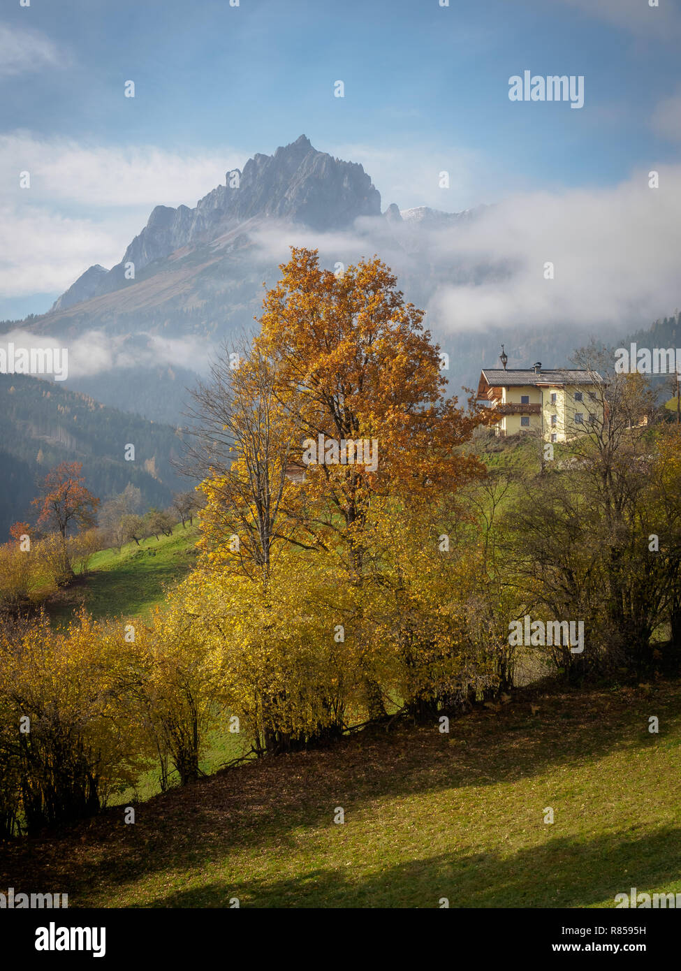 At the Gainfeld in Bischofshofen with view at the Hochkoenig in autumn