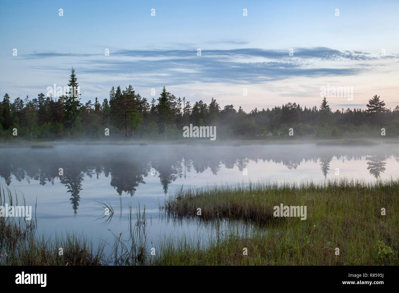 Sunrise in the Swedish Wilderness Stock Photo