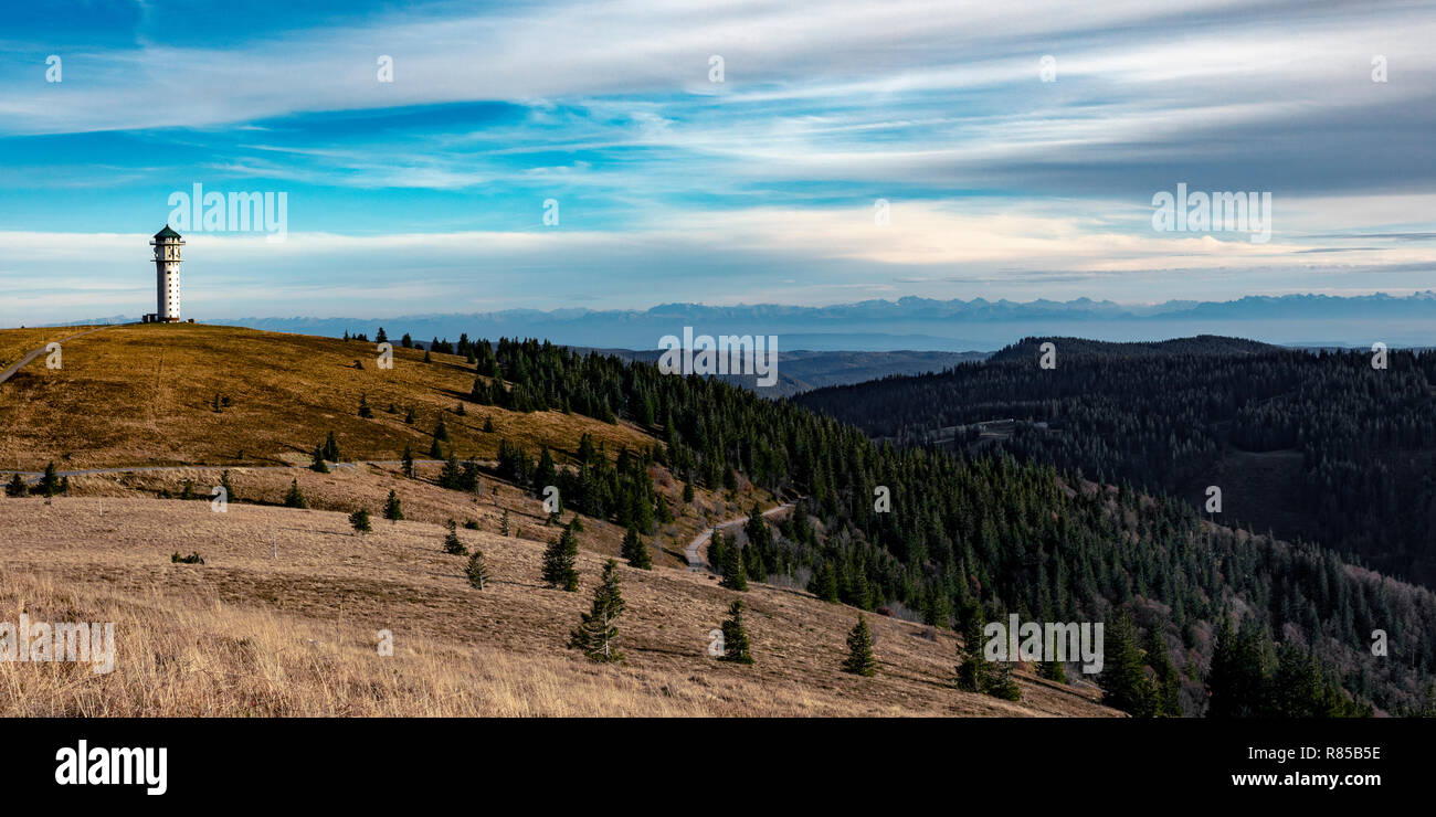 View to Feldberg in the Black Forest up to the Swiss Alps Stock Photo