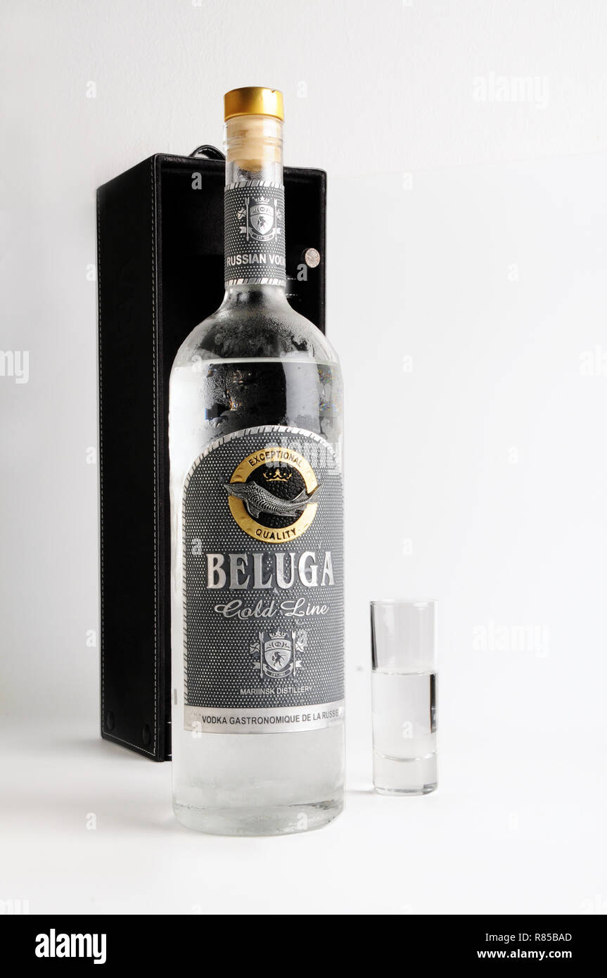 Bouteille de vodka russe-premium béluga et le verre de vodka geste cheers  Photo Stock - Alamy