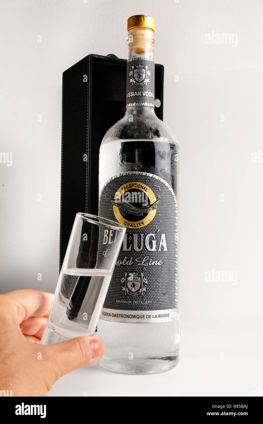 Bottle Of Beluga Premium Russian Vodka And Glass Of Vodka Cheers Gesture Stock Photo Alamy