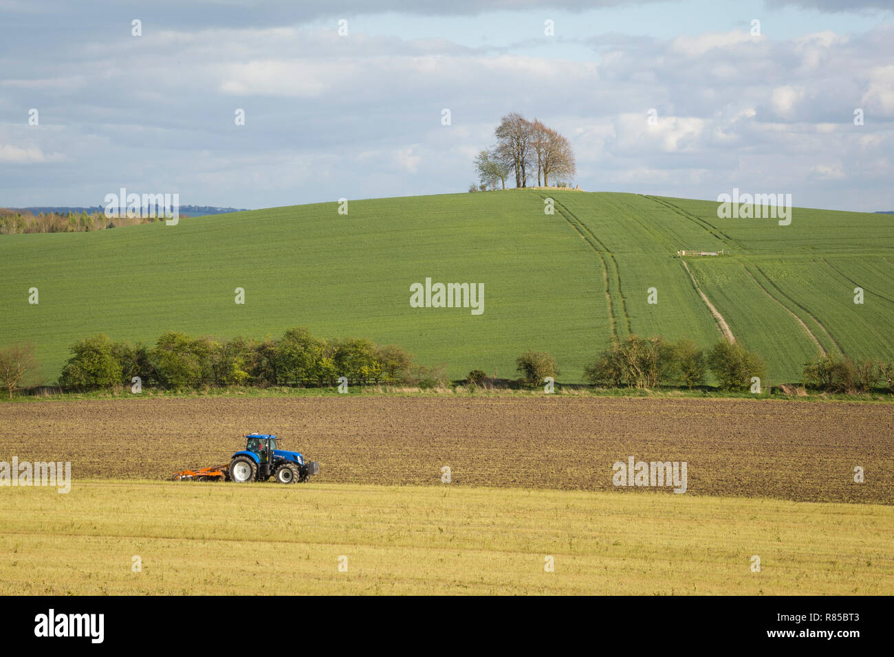 A tractor cultivates the field below Brightwell Barrow, a Bronze Age Bowl Barrow on the hill next to Wittenham Clumps, Oxfordshire. Stock Photo