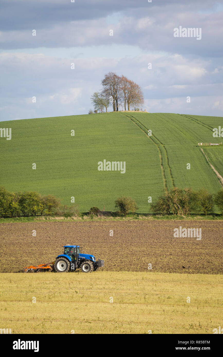 A tractor cultivates the field below Brightwell Barrow, a Bronze Age Bowl Barrow on the hill next to Wittenham Clumps, Oxfordshire. Stock Photo