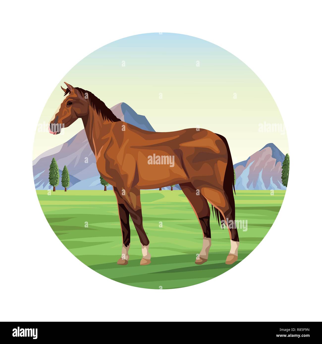 Horse farm animal Stock Vector Image & Art - Alamy