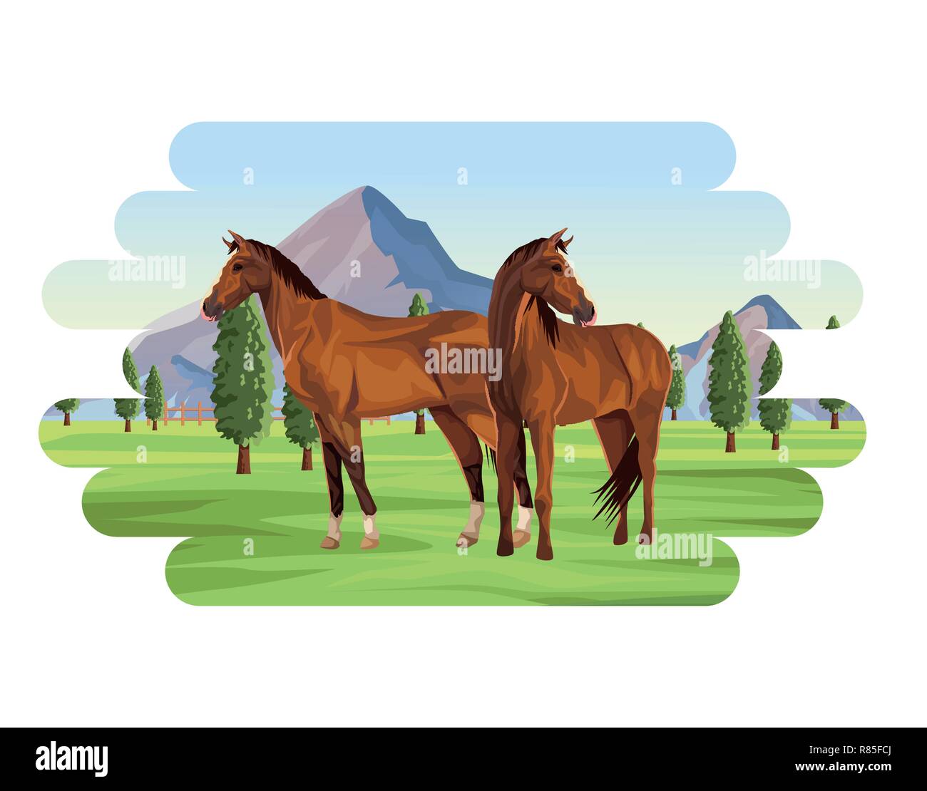 Horses farm animal Stock Vector Image & Art - Alamy
