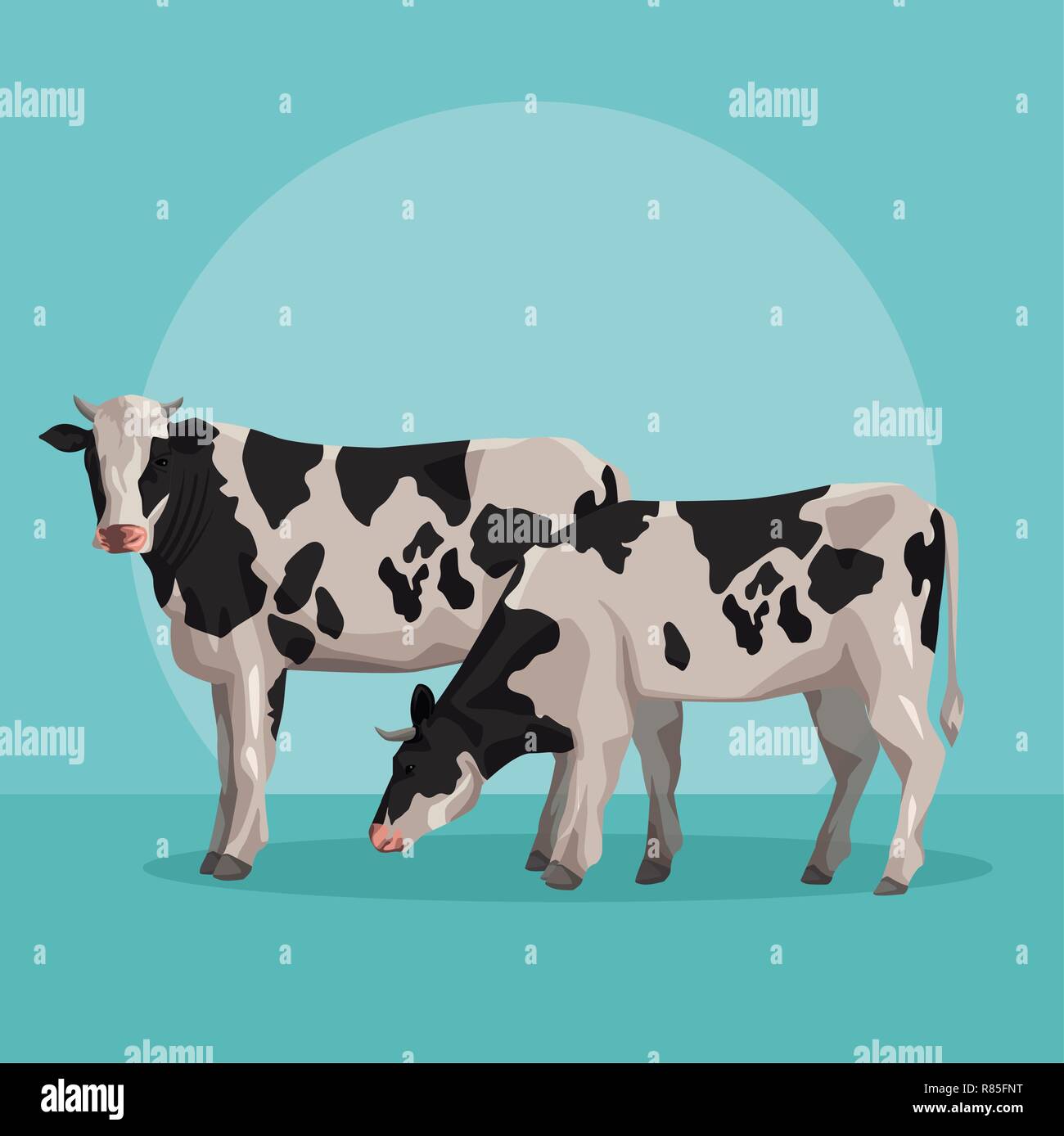 Cows Stock Vector Images - Alamy