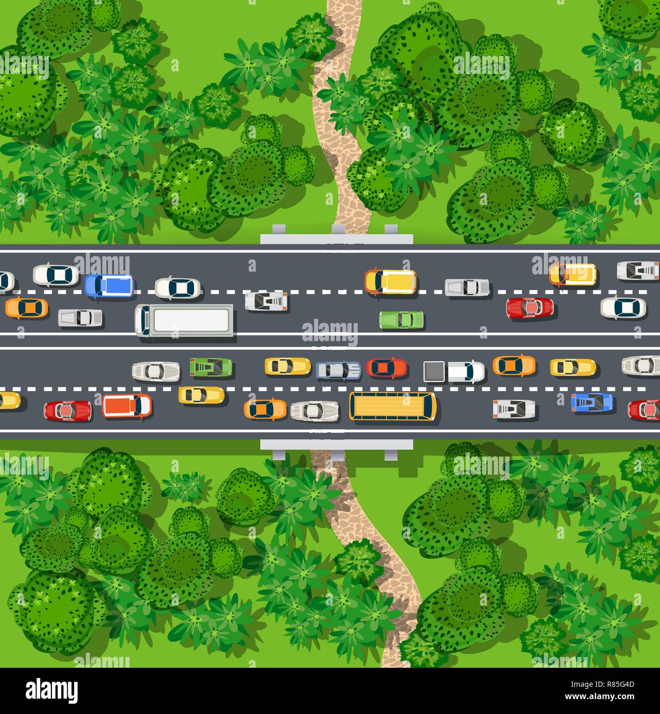 Cork trees Stock Vector Images Alamy