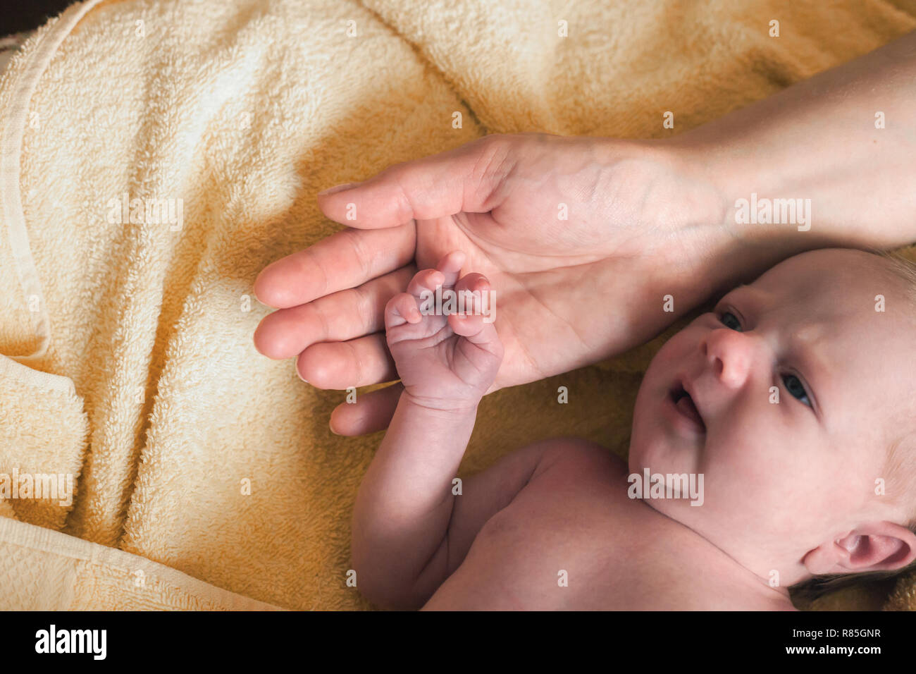 Mothers and newborn babys hands. Newborn hand holding moms finger in