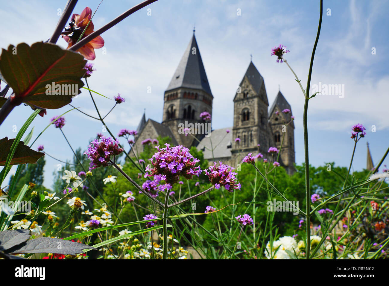 Church Eglise du Temple Neuf with flowers in the foreground, Metz, France Stock Photo
