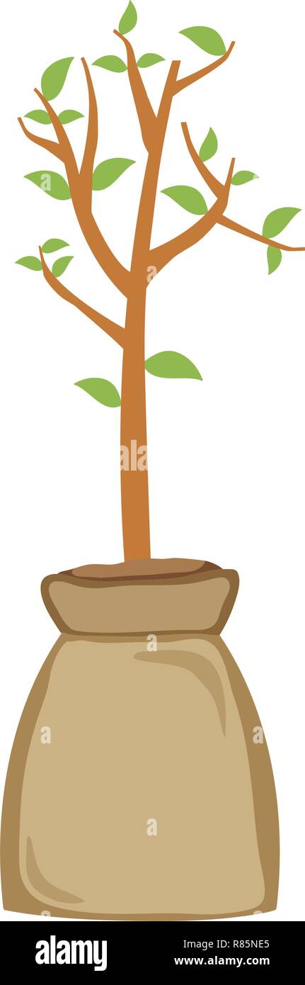 tree plant in ground bag Stock Vector Image & Art - Alamy