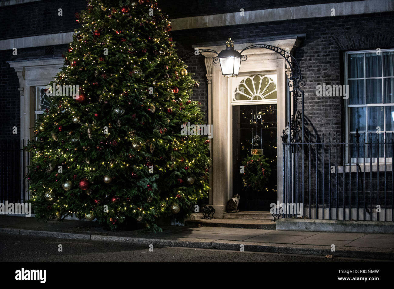 Christmas Tree outside No.10 Downing Street, residence to the Prime Minister of Great Britain, England, United Kingdom Stock Photo