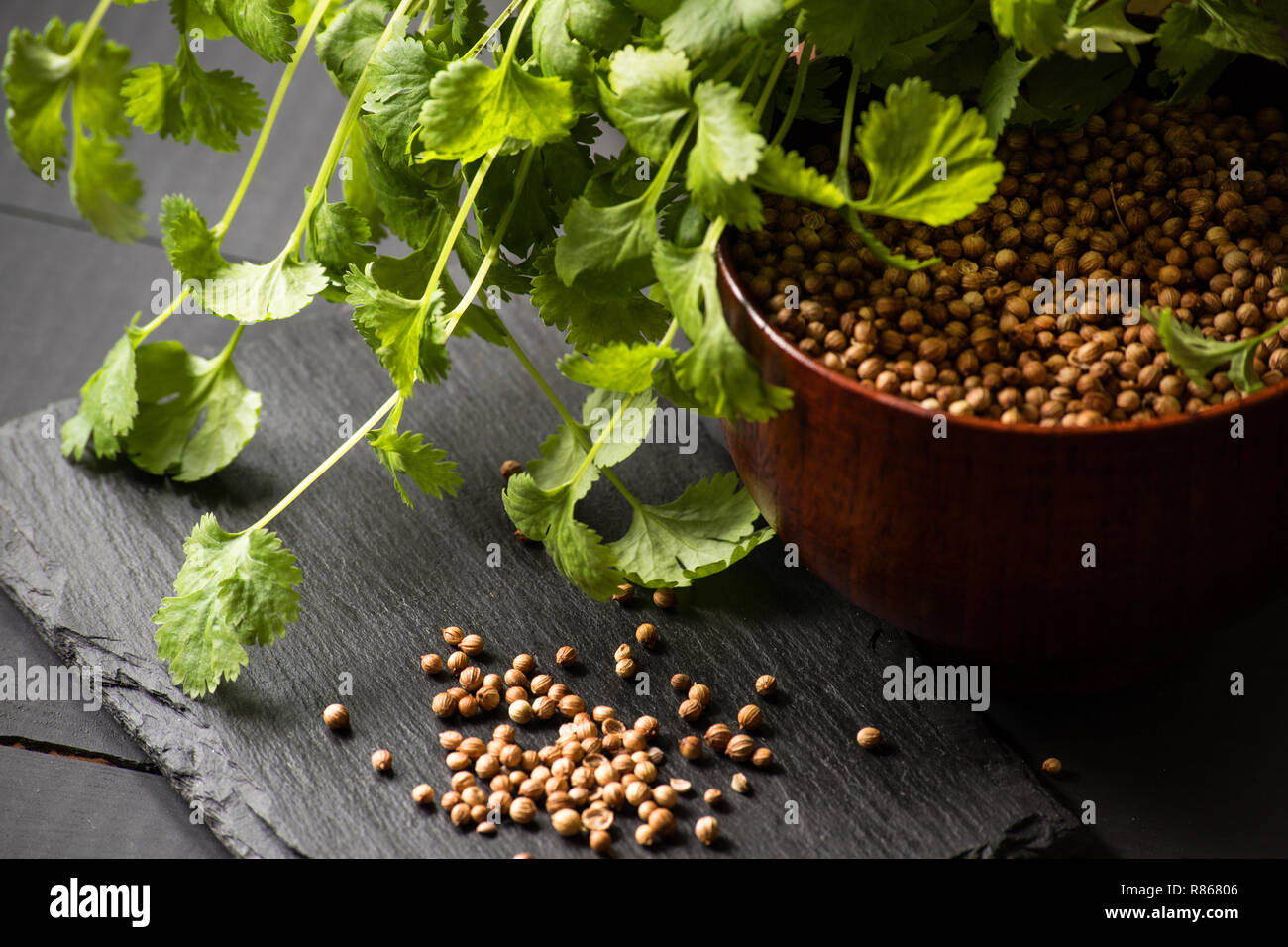 coriander cilantro seeds Stock Photo Alamy
