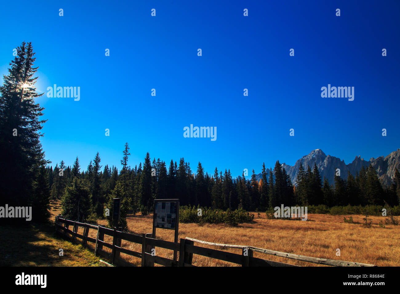 Autumn in the italian alps Stock Photo - Alamy
