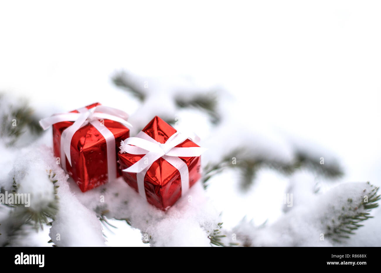 Gift boxes and fir tree hi-res stock photography and images - Alamy