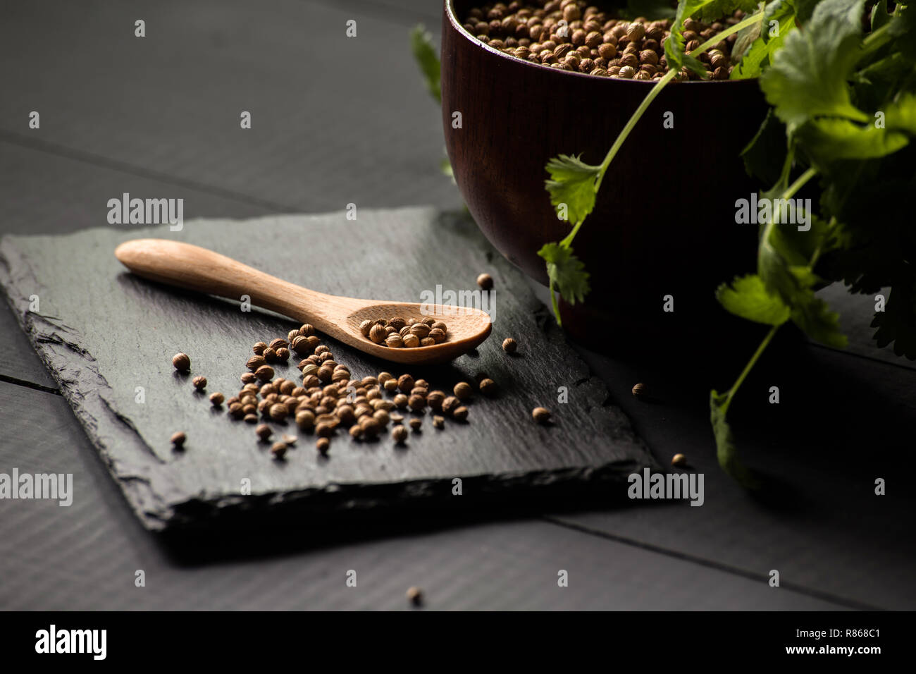 coriander cilantro seeds Stock Photo Alamy