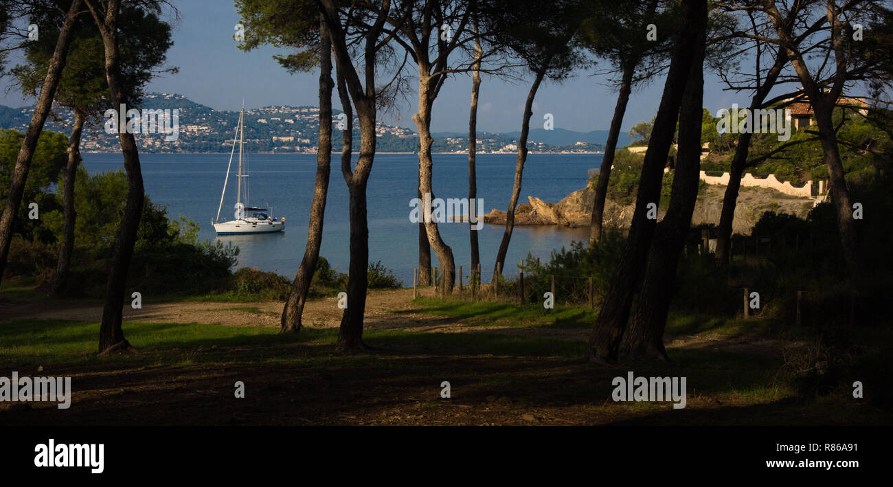 mediterranean creek with a boat in the background and pine trees n the foreground Stock Photo