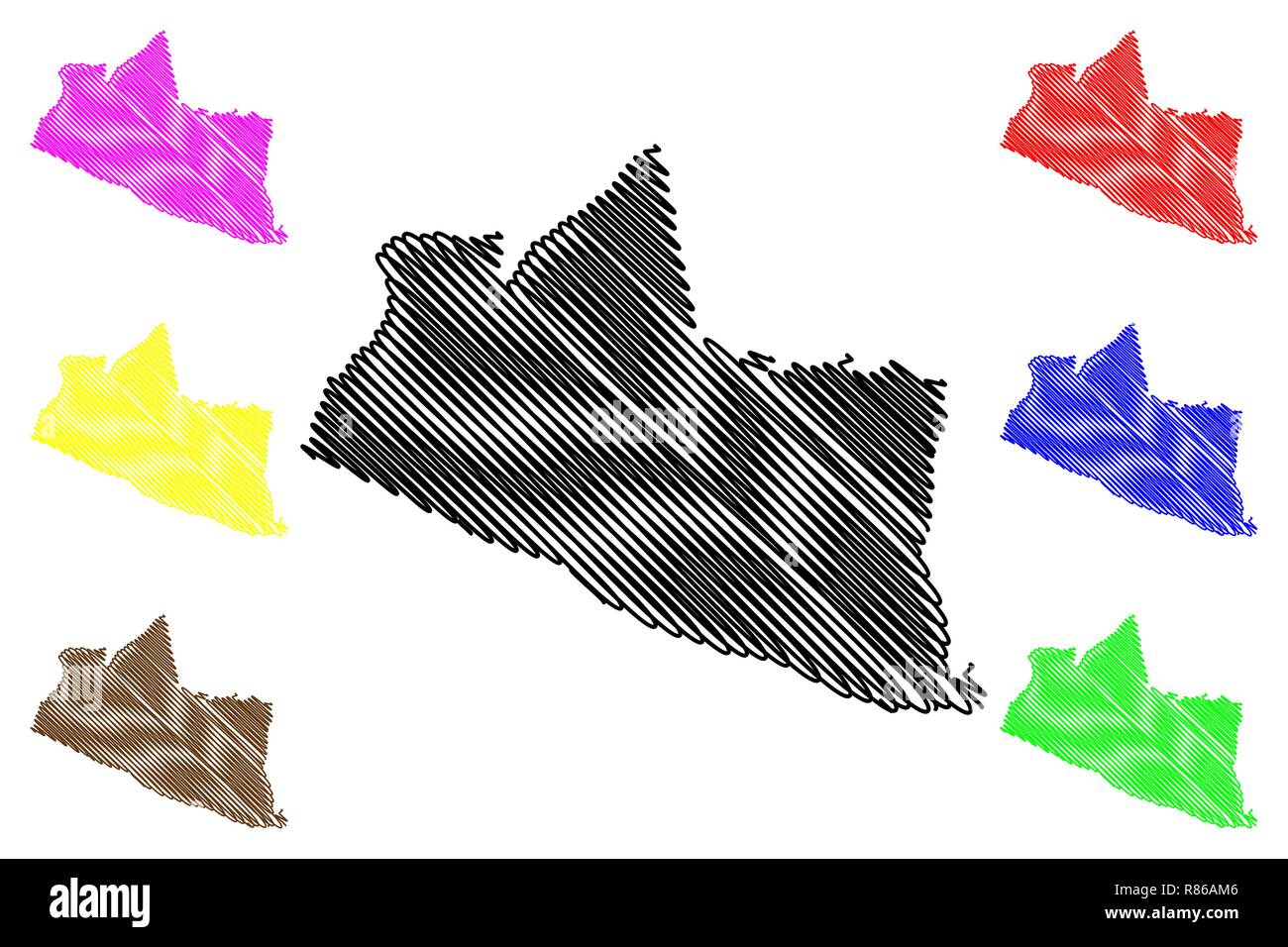 Vector