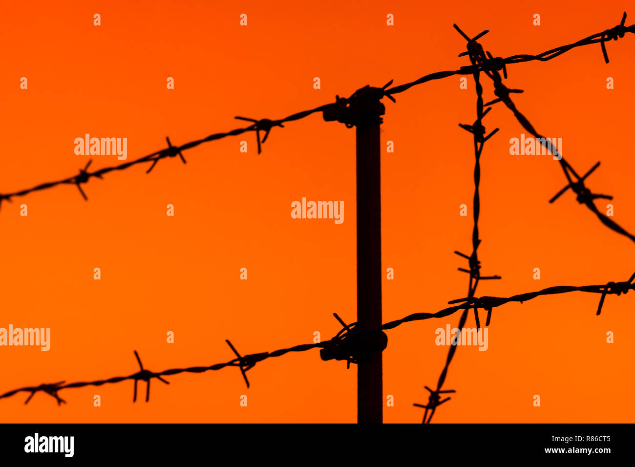 silhouette of a fence of barbed wire on an orange sky background Stock ...