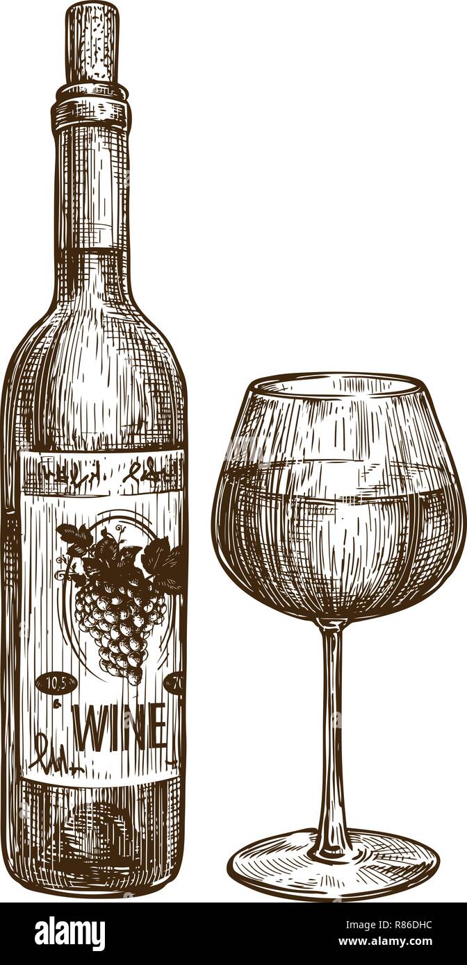Wine bottle and glass. Alcoholic drink. Vintage sketch vector Stock Vector
