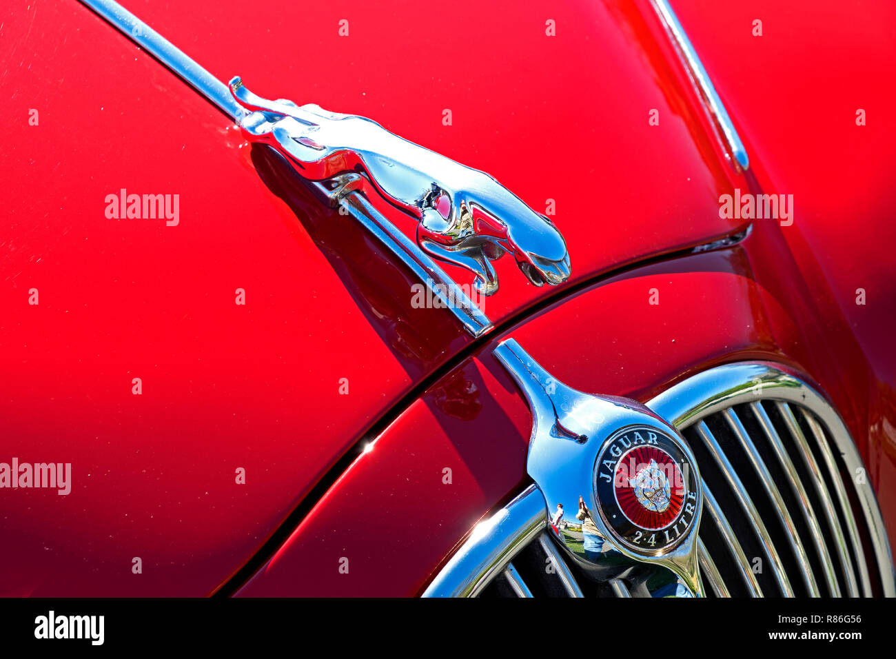 Detail of the bonnet and radiator grille of a 2.4 litre Jaguar saloon car. Stock Photo