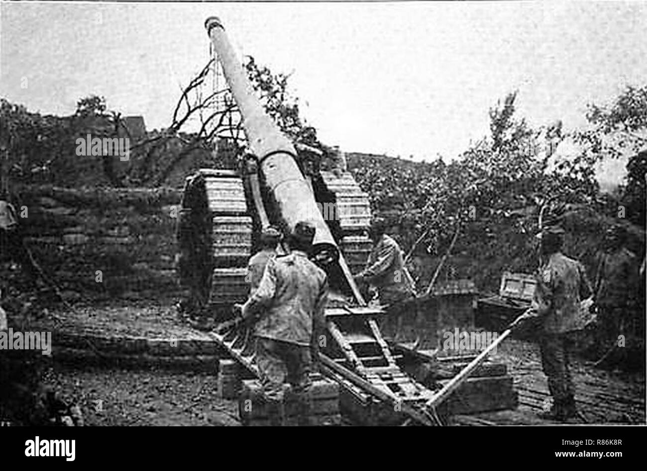 Cannone da 14935. Stock Photo