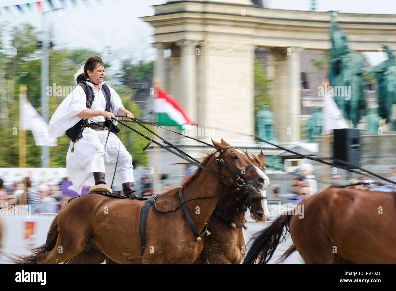 Man in traditional clothes riding a group of horses while standing on their back during a cultural Heritage Days' program, Budapest, Hungary Stock Photo