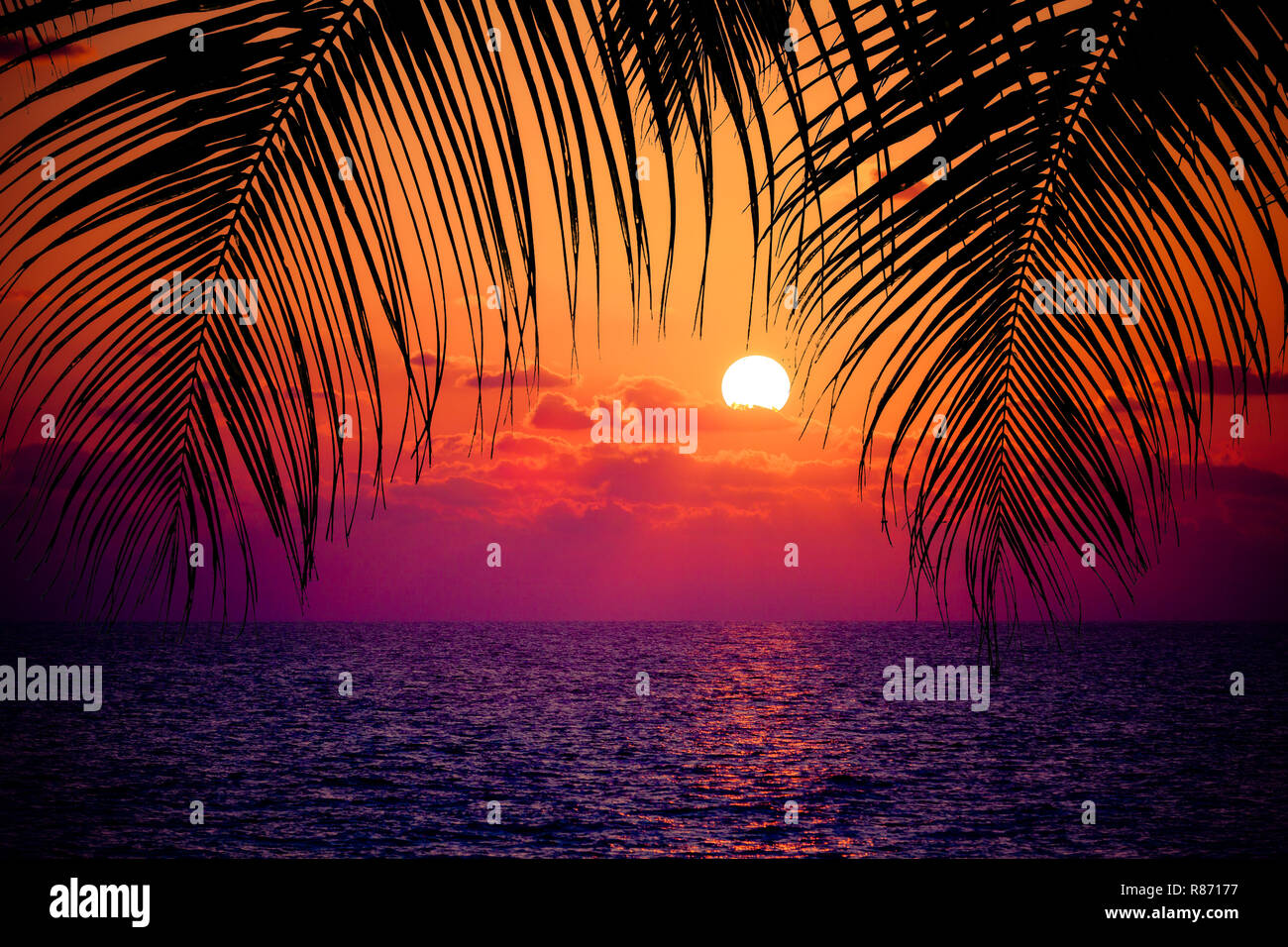 Summer tropical background. Sunset at the Ocean Stock Photo - Alamy
