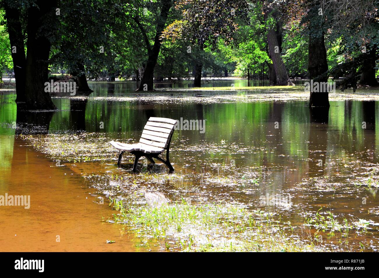 Flooded park during the flood in Magdeburg Stock Photo