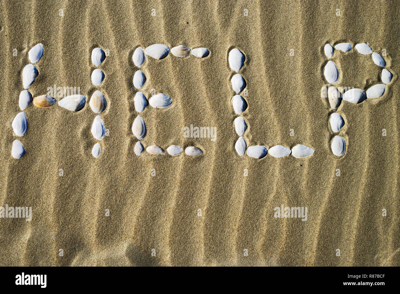 The word Help made of white seashells on sand. Calling for help in danger. Stock Photo