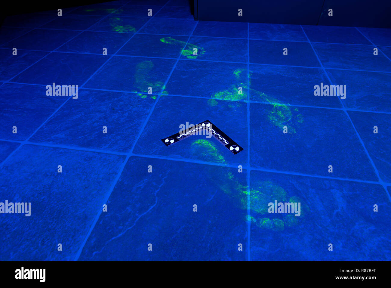 Footprint trail showing up on floor with forensic fluorescent powder under blacklight with vinyl floor also radiating blue light as identity evidence Stock Photo