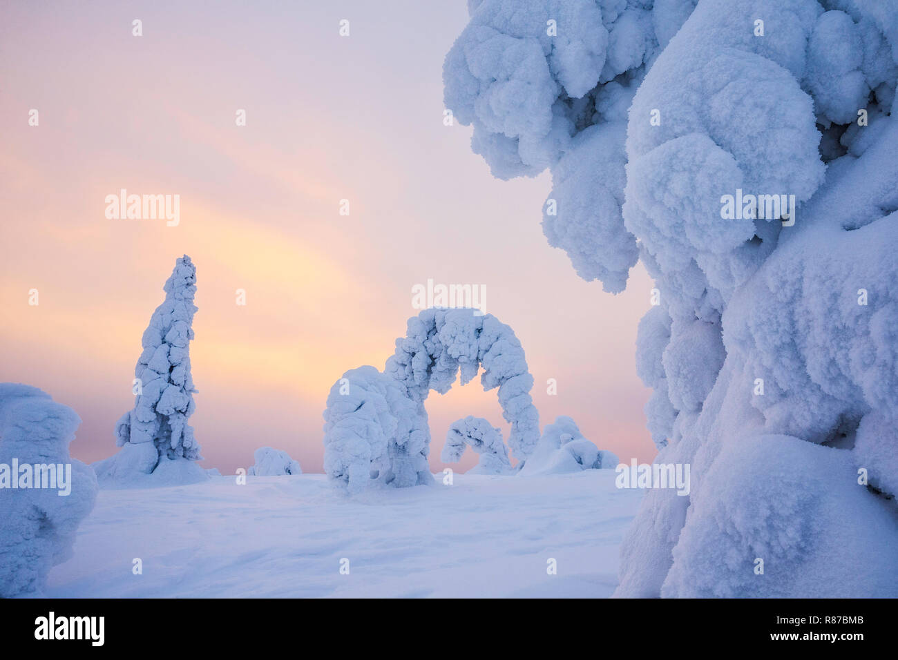 Riisitunturi in winter, Kuusamo, Lapland, Finland Stock Photo
