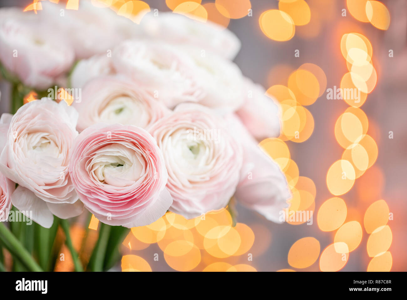 Persian Buttercup Bunch Pale Pink Ranunculus Flowers In Glass