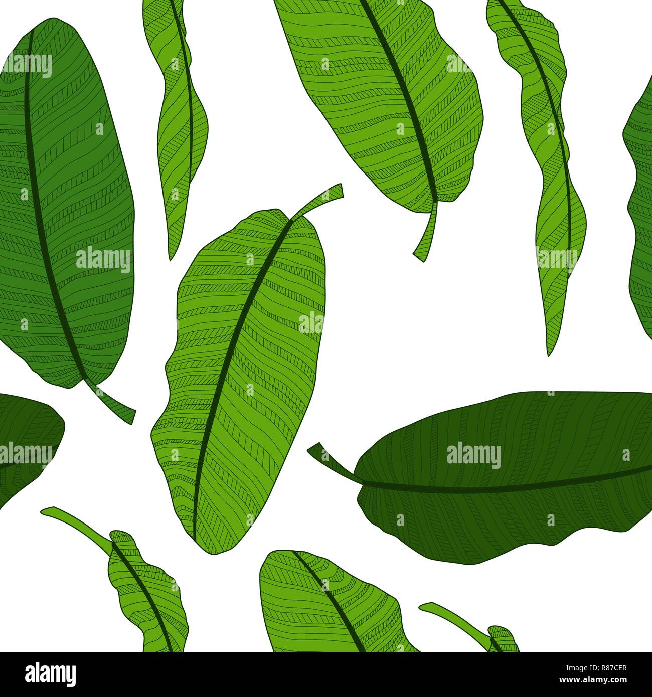 Abstract tropical palm leaf seamless pattern background. Vector ...