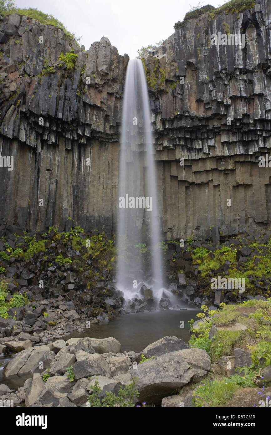Svartifoss Waterfall, Vatnajokull National Park, Iceland Stock Photo