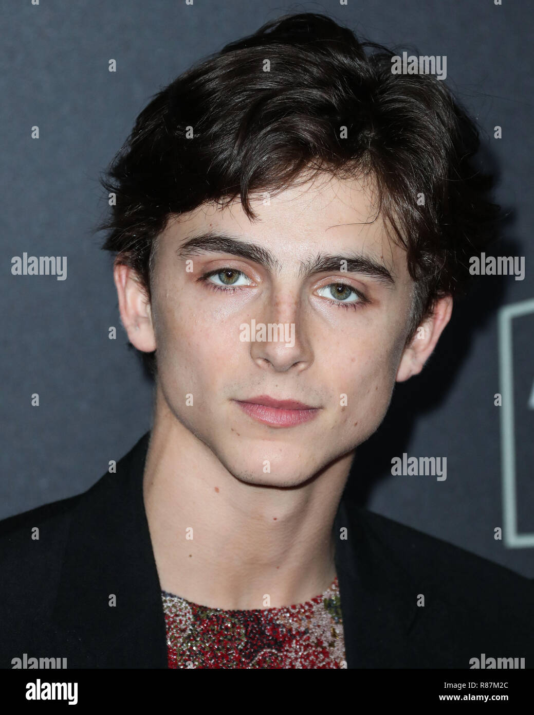 BEVERLY HILLS, LOS ANGELES, CA, USA - NOVEMBER 04: Actor Timothee ...