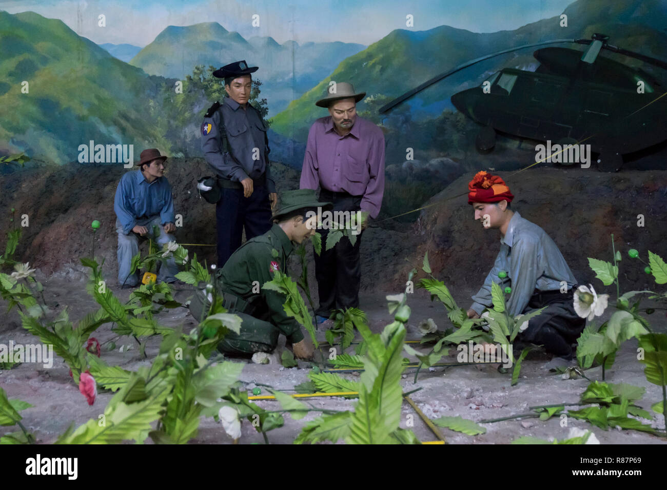 Diorama showing poppy destruction at the Drug Elimination Museum in Yangon, Myanmar. Stock Photo