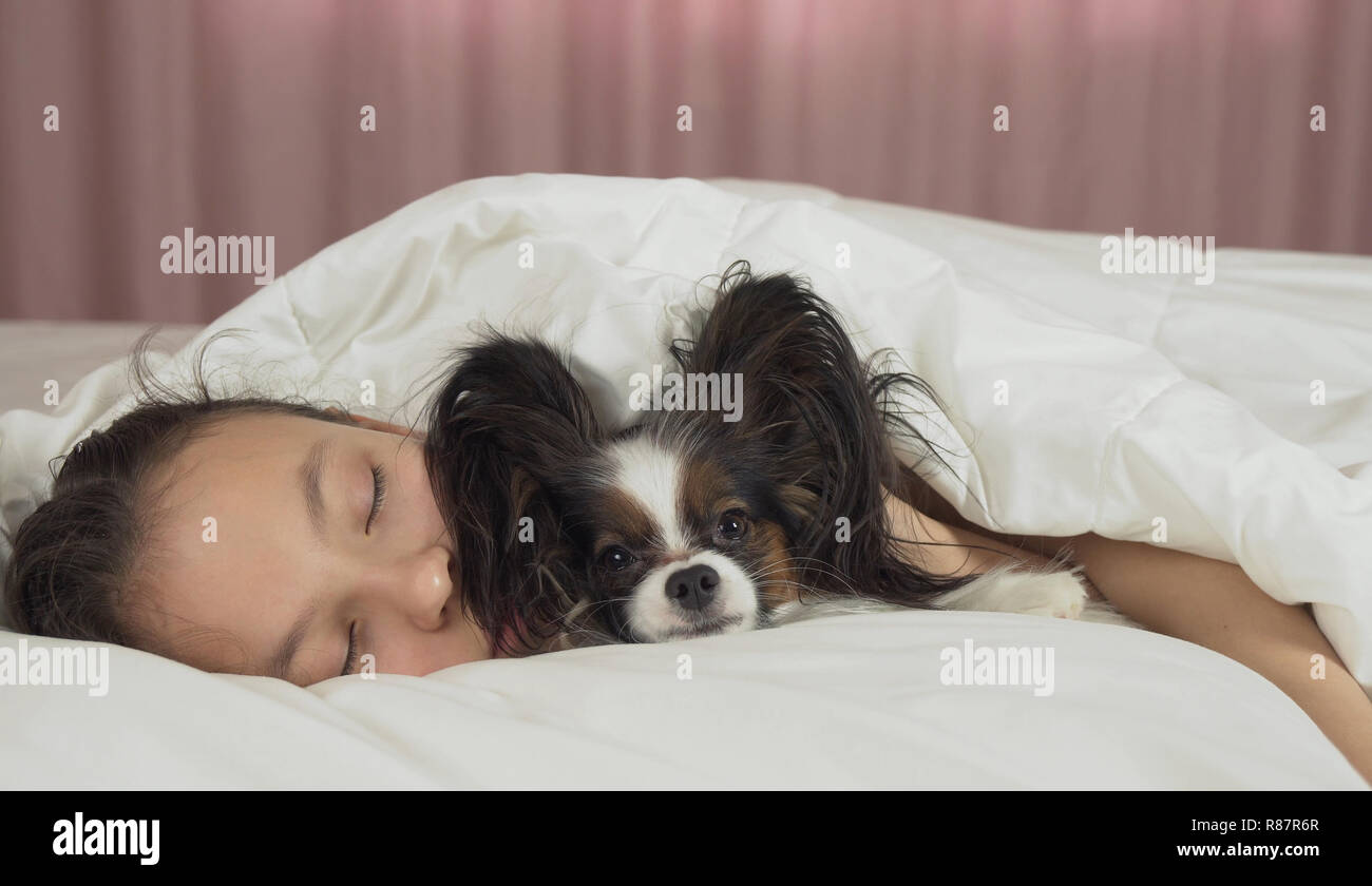Beautiful teen girl sleeping sweetly in bed with Papillon dog Stock ...