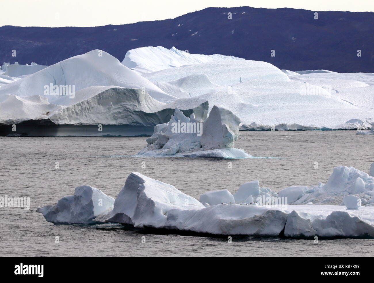 Grönland Disko Bucht: Von den Eisbergen brechen immer wieder Brocken ab. Sie treiben dann als kleine Eisberge in der Bucht. Stock Photo