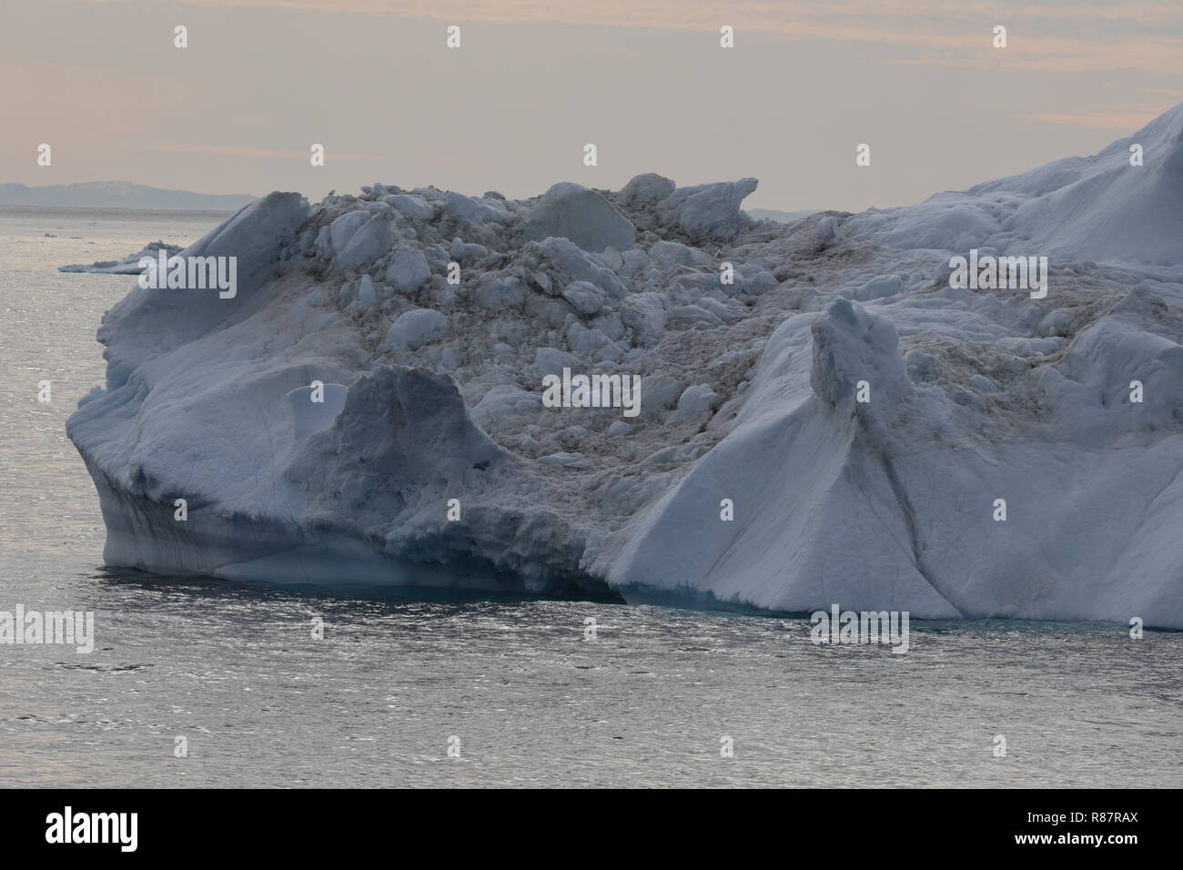Grönland Disko Bucht: Ein warzige Kröte Stock Photo