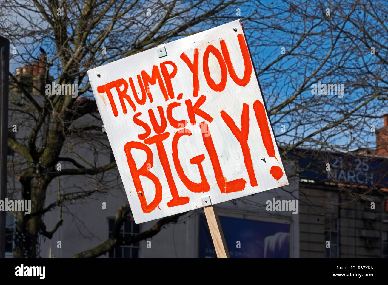 A placard with the slogan “TRUMP, YOU SUCK BIGLY!” at a demonstration against US president Donald Trump’s immigration policies on 4 February 2017.. Stock Photo