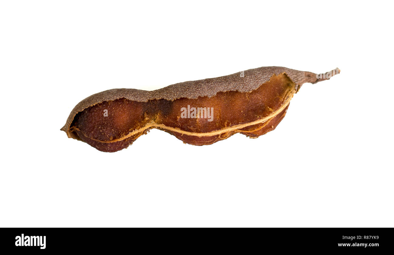 Tamarind Fruit Tree Tamarindus Indica High Resolution Stock Photography And Images Alamy Tamarind Fruit Tree Tamarindus Indica High Resolution Stock Photography And Images Alamy
