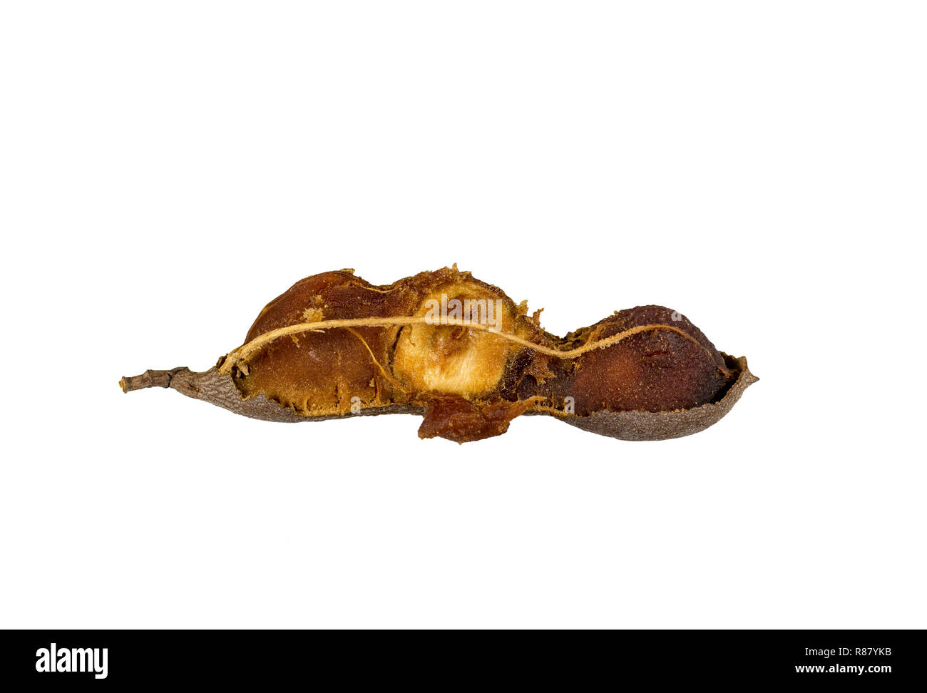 View of the pulp, seeds and fibers of a broken tamarind (Tamarindus