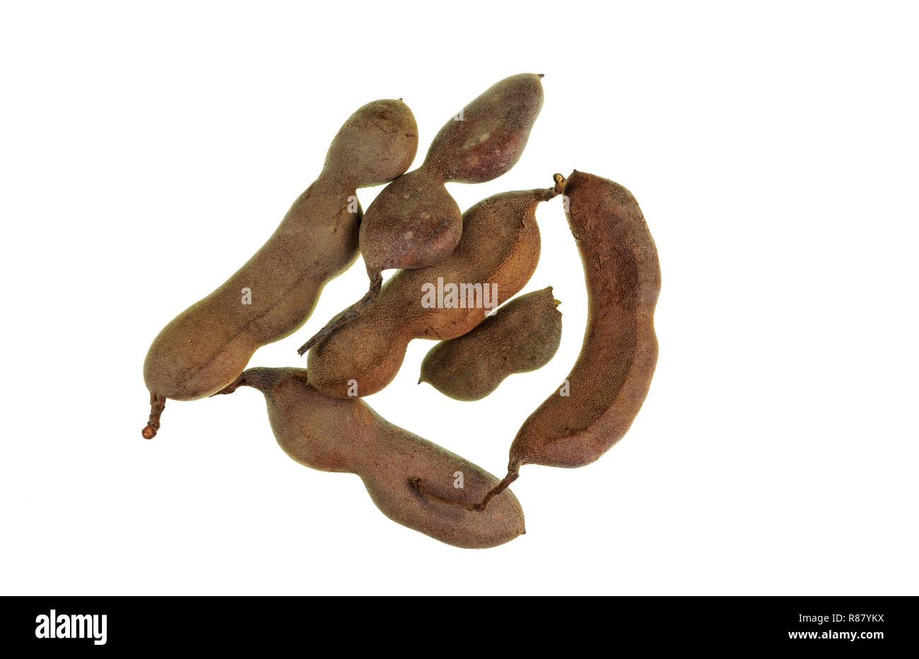 Tamarind (Tamarindus indica) podlike fruit as off the tamarind tree, a leguminous tree native