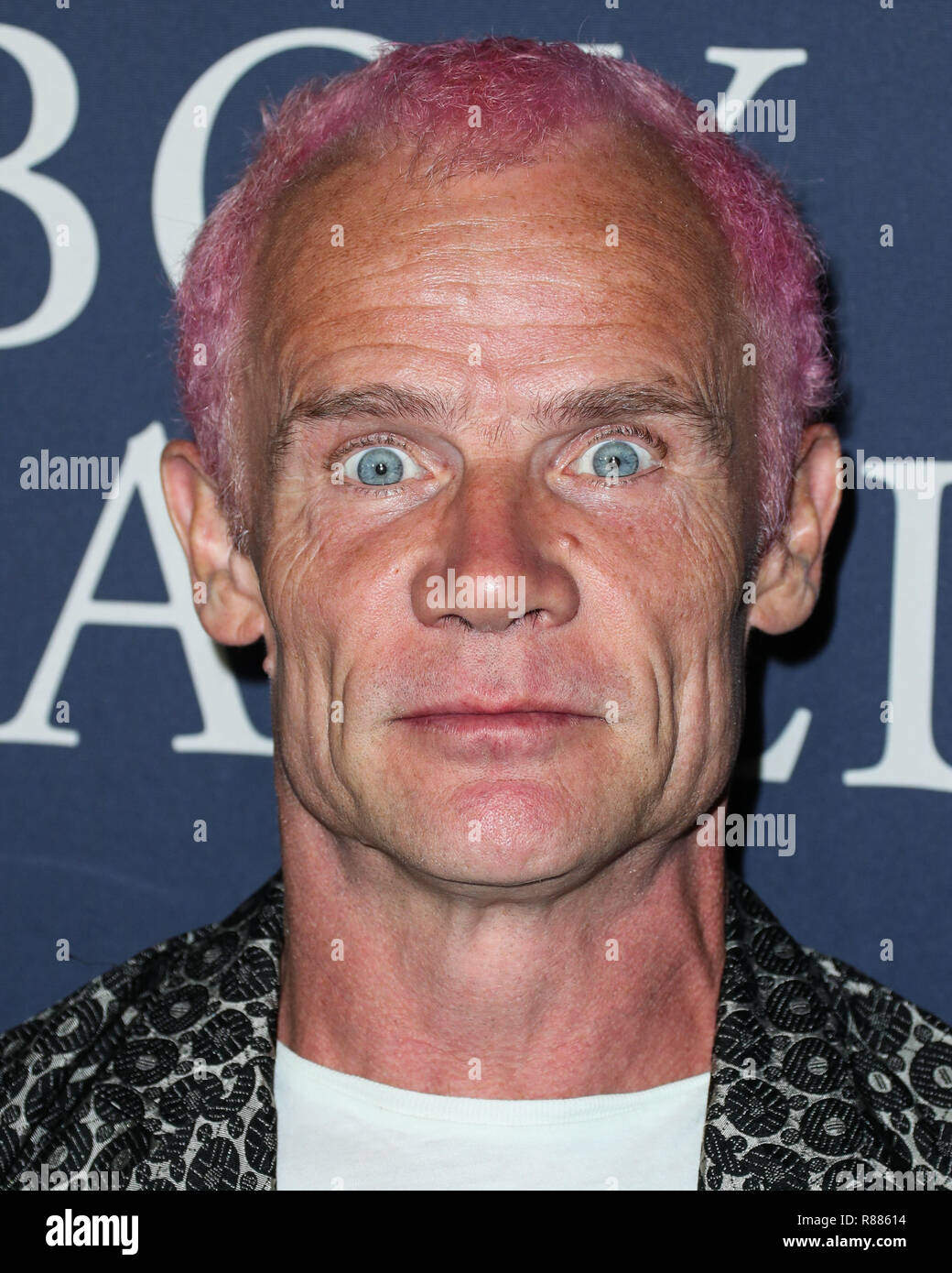 LOS ANGELES, CA, USA - OCTOBER 29: Flea, Michael Peter Balzary at the Los Angeles Premiere Of Focus Features' 'Boy Erased' held at the Directors Guild Of America Theater on October 29, 2018 in Los Angeles, California, United States. (Photo by Xavier Collin/Image Press Agency) Stock Photo